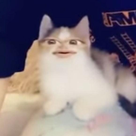 Meet your Posher, Colin - Picture 1 of 1